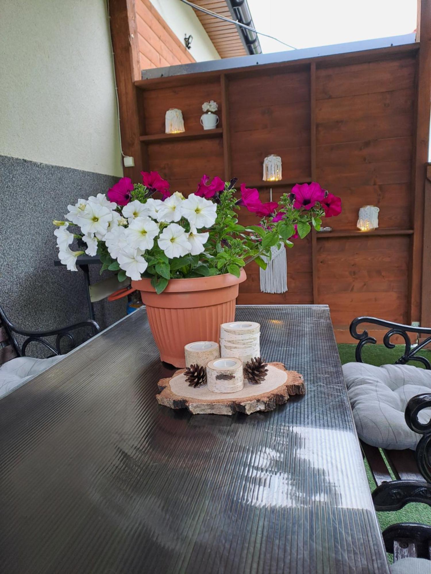 U Beaty, Niezalezne Mieszkania Do Wynajecia Ochotnica Górna Extérieur photo